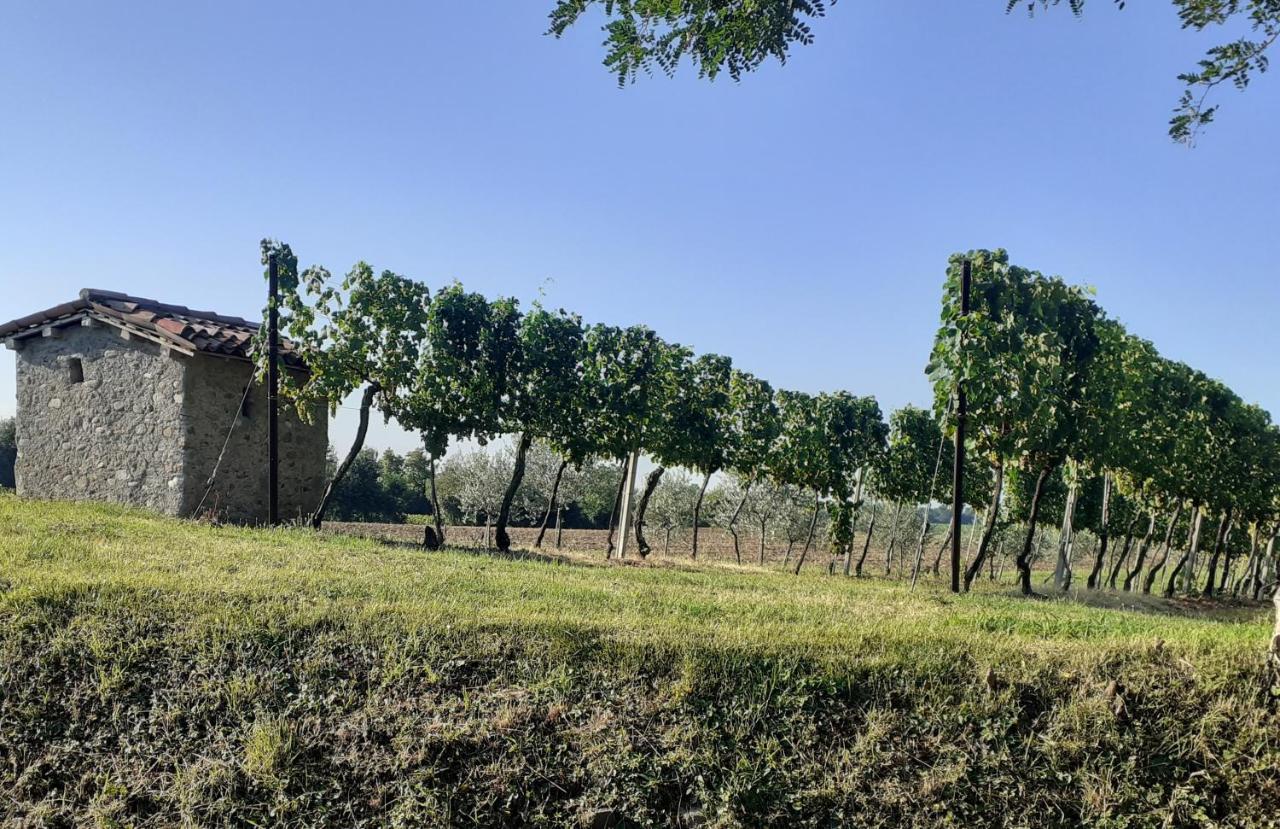 Vicolo Del Nido B&B Paderno Franciacorta Ngoại thất bức ảnh