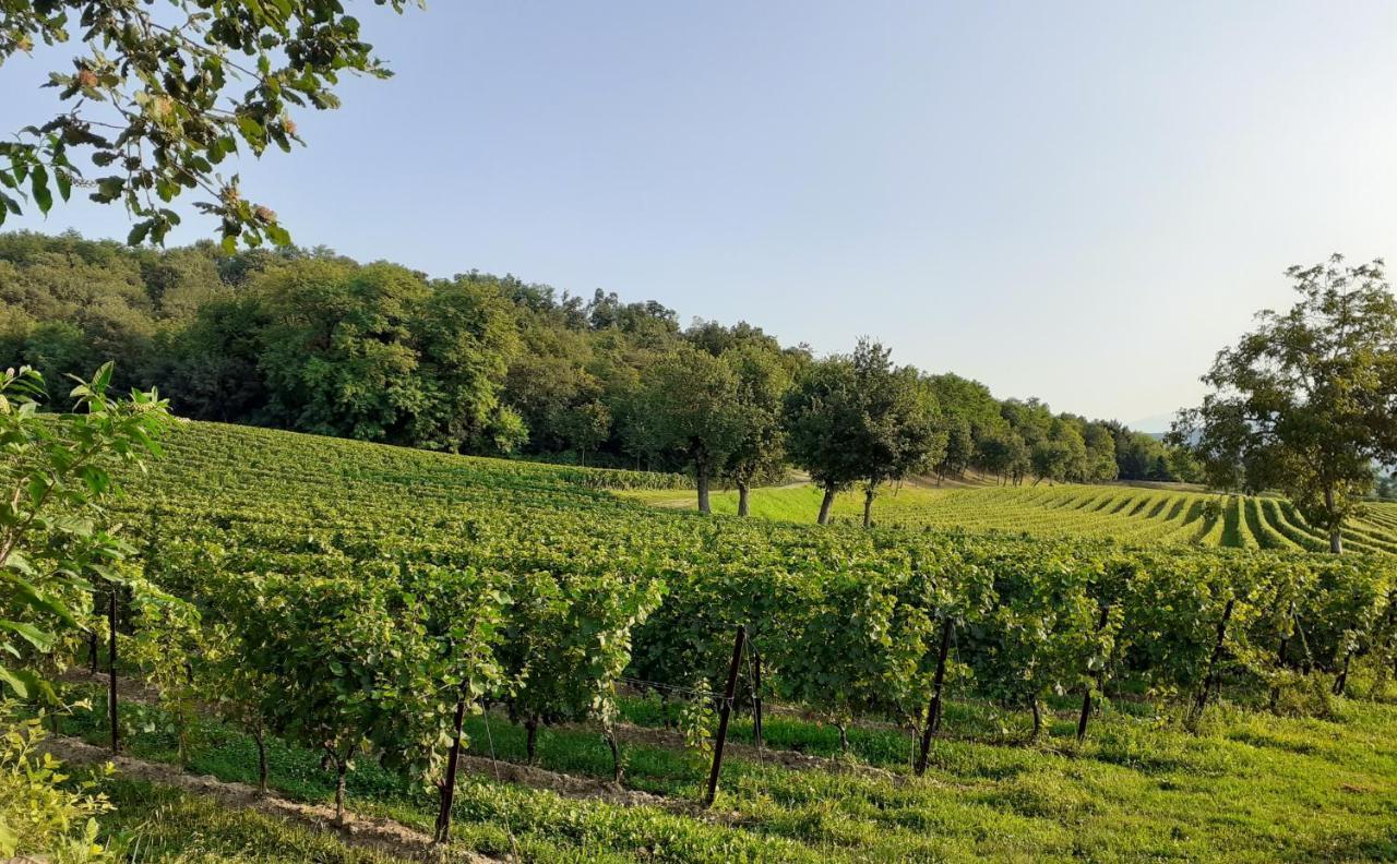 Vicolo Del Nido B&B Paderno Franciacorta Ngoại thất bức ảnh
